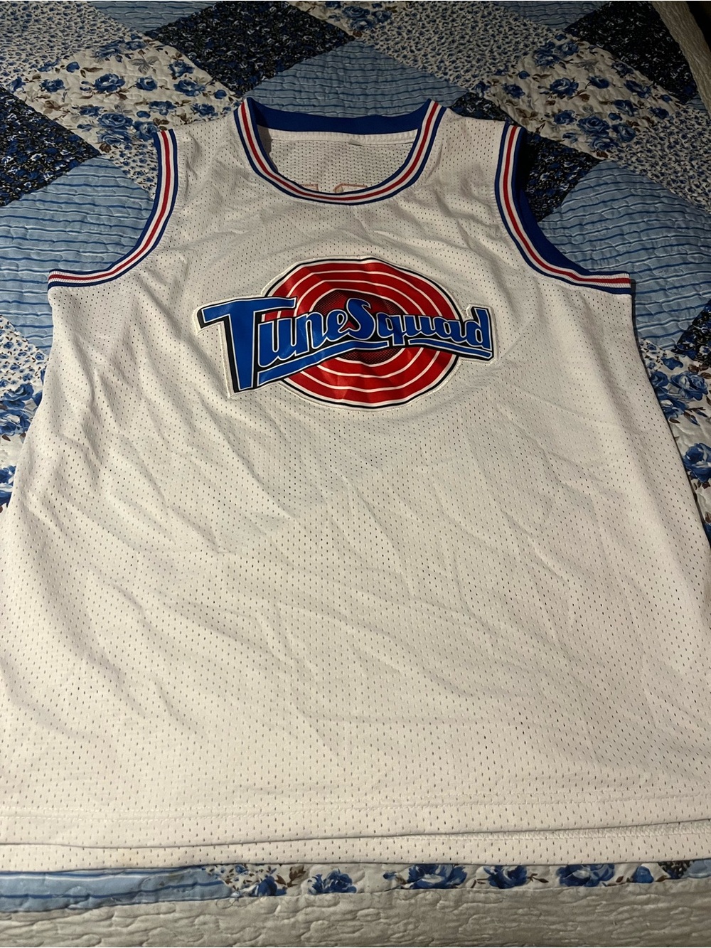 Tune Squad Porky Jersey